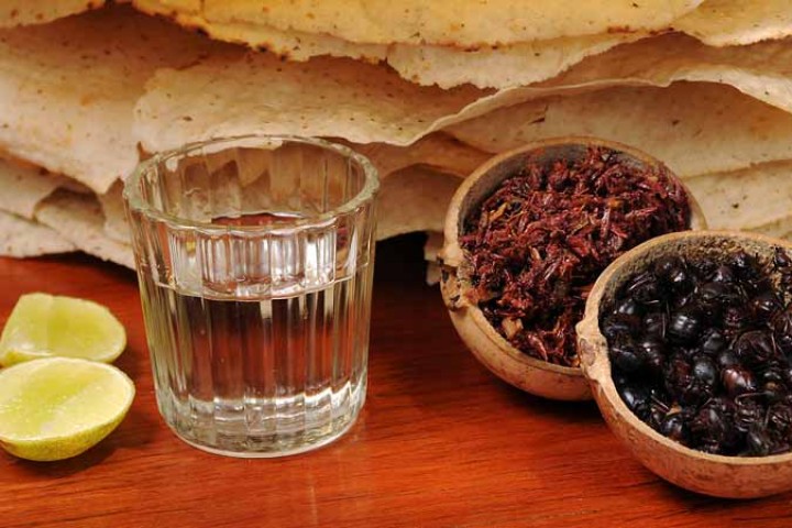 maridaje_mezcal_cocinamexicana-720x480.jpg